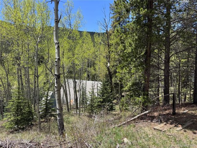 190 Blue Bell Lane, Idaho Springs, CO 80452