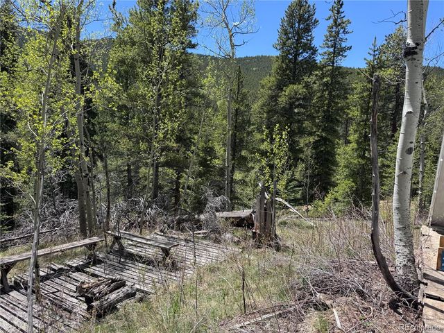 190 Blue Bell Lane, Idaho Springs, CO 80452