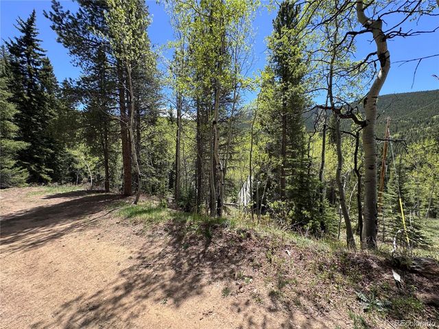 190 Blue Bell Lane, Idaho Springs, CO 80452