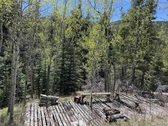 190 Blue Bell Lane, Idaho Springs, CO 80452