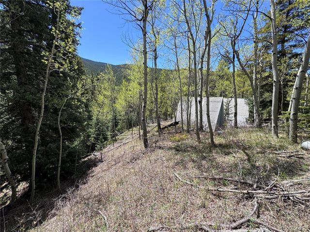 190 Blue Bell Lane, Idaho Springs, CO 80452