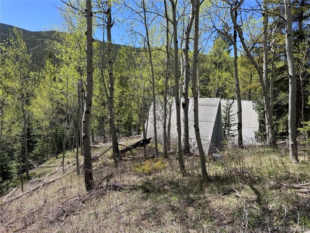 190 Blue Bell Lane, Idaho Springs, CO 80452