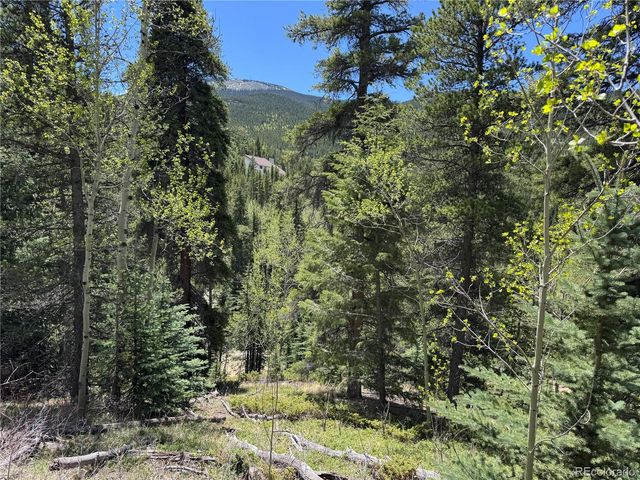 190 Blue Bell Lane, Idaho Springs, CO 80452