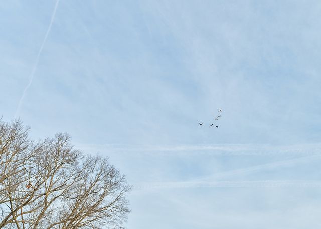 1462 Old Highway 99, Columbia, TN 38401