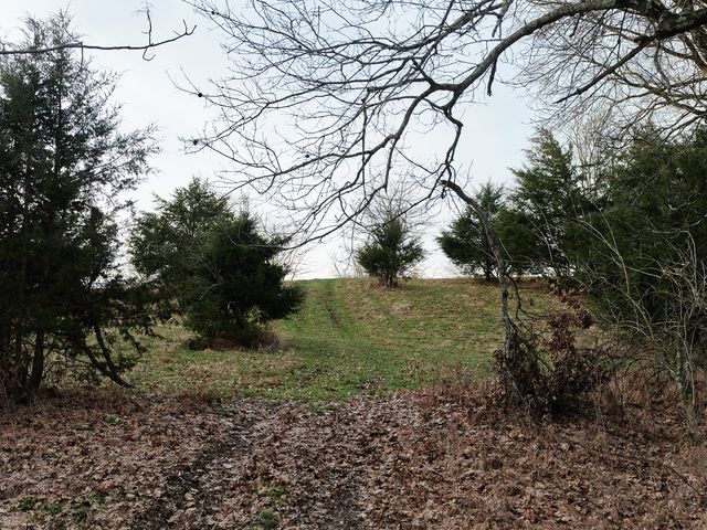 1462 Old Highway 99, Columbia, TN 38401