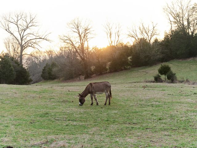 1462 Old Highway 99, Columbia, TN 38401