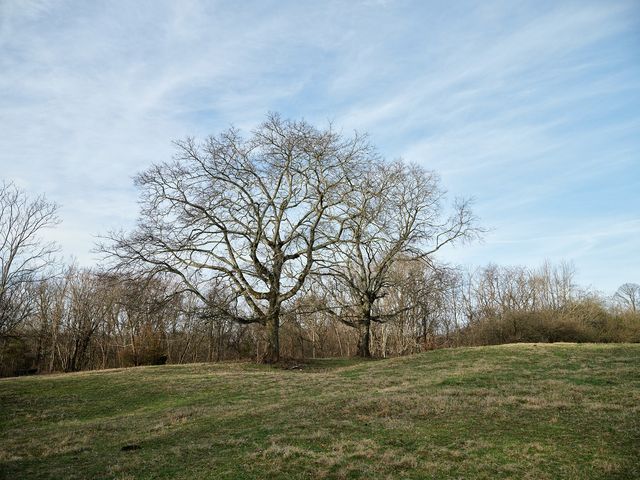 1462 Old Highway 99, Columbia, TN 38401