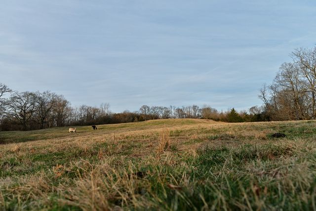 1462 Old Highway 99, Columbia, TN 38401