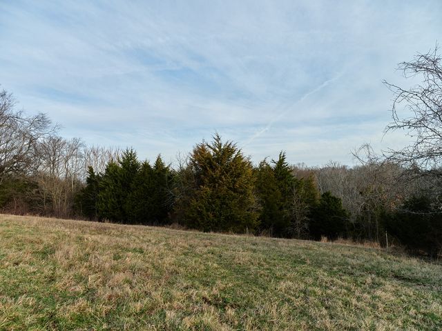 1462 Old Highway 99, Columbia, TN 38401