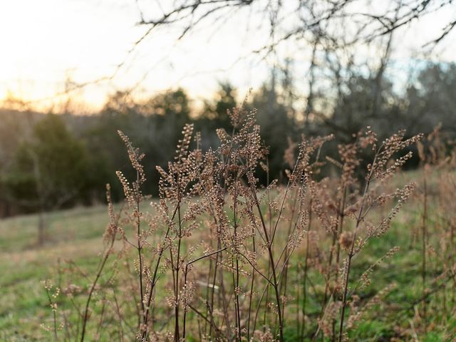 1462 Old Highway 99, Columbia, TN 38401