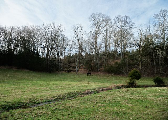 1462 Old Highway 99, Columbia, TN 38401