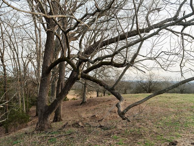 1462 Old Highway 99, Columbia, TN 38401