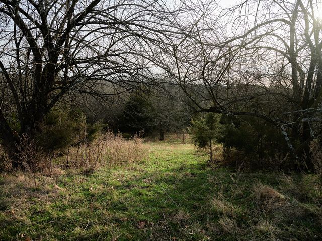 1462 Old Highway 99, Columbia, TN 38401