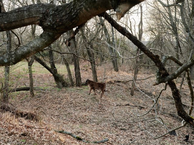 1462 Old Highway 99, Columbia, TN 38401