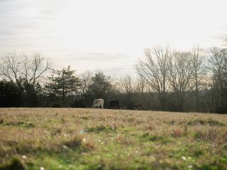 1462 Old Highway 99, Columbia, TN 38401