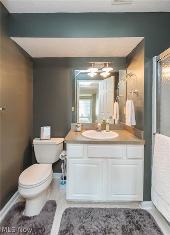 3933 Hedgewood Drive, Medina, OH 44256