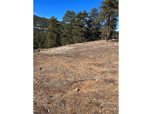 1 Iowa Gulch Rd, Morrison, CO 80465