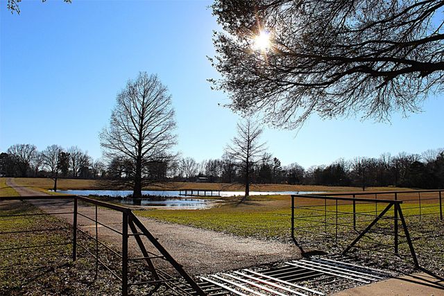 2517 CR 2110, Hooks, TX 75561