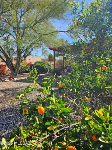 2031 S Santa Carla Drive, Green Valley, AZ 85614