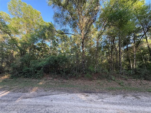 780 E ELGROVE DRIVE, Dunnellon, FL 34434