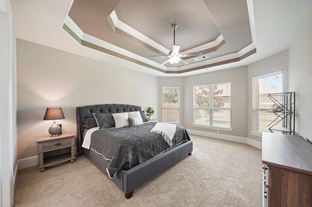 4210 Dalea Clover Lane, Manvel, TX 77578