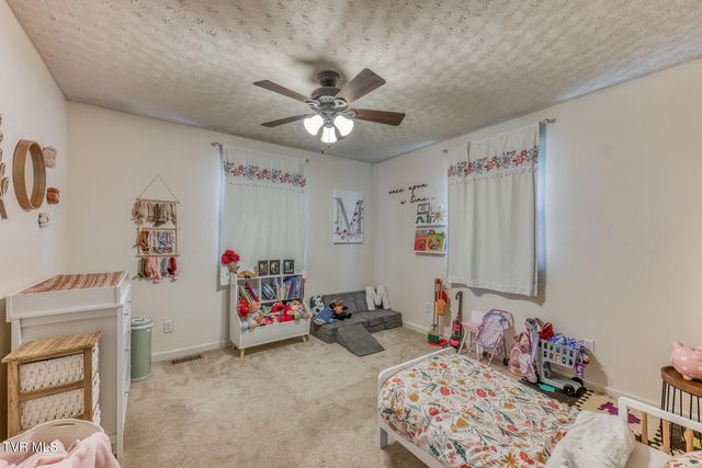797 Muddy Creek Road, Piney Flats, TN 37686