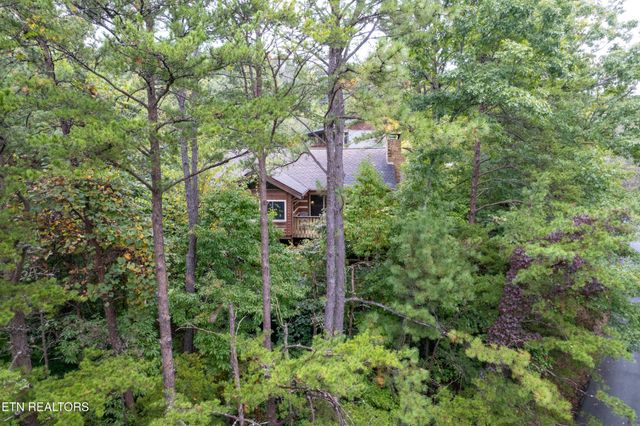 317 Matterhorn Drive, Gatlinburg, TN 37738