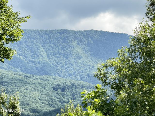317 Matterhorn Drive, Gatlinburg, TN 37738