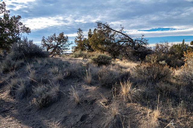 362 SE Wildflower Drive, Madras, OR 97741