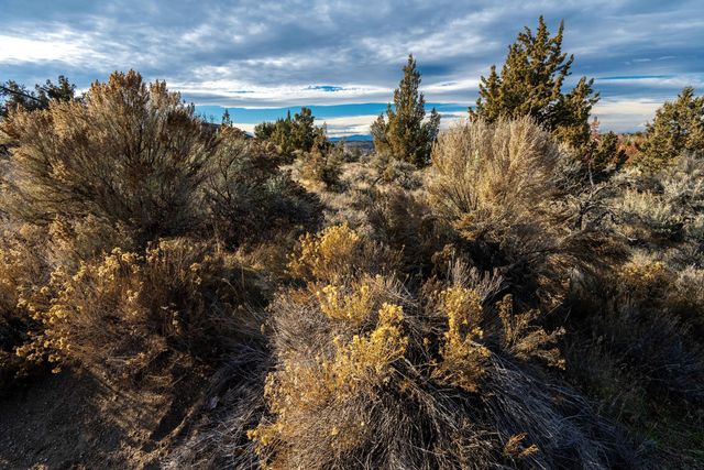 362 SE Wildflower Drive, Madras, OR 97741