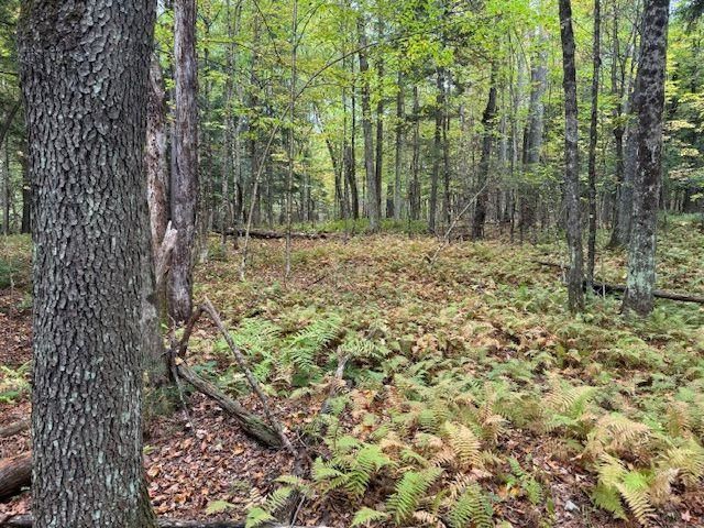 843 River Road, Troy, VT 05859