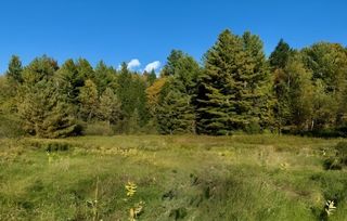 843 River Road, Troy, VT 05859