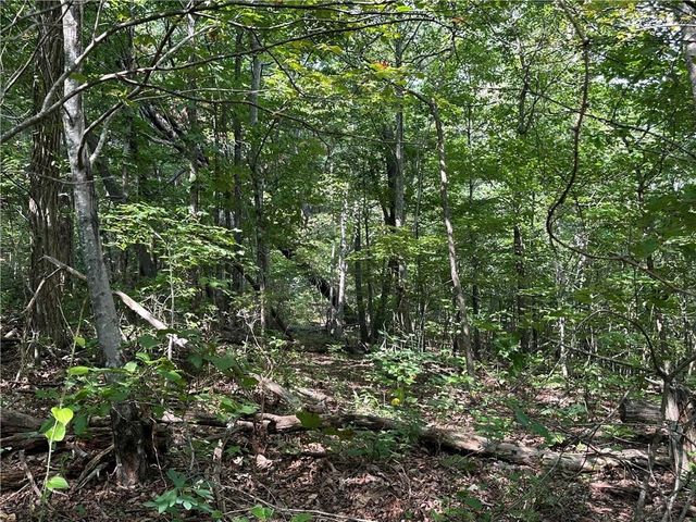 257 Andes Ridge, Jasper, GA 30143