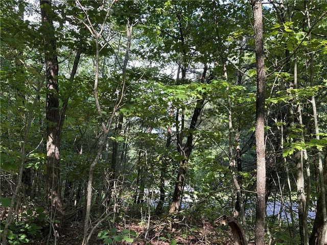 257 Andes Ridge, Jasper, GA 30143