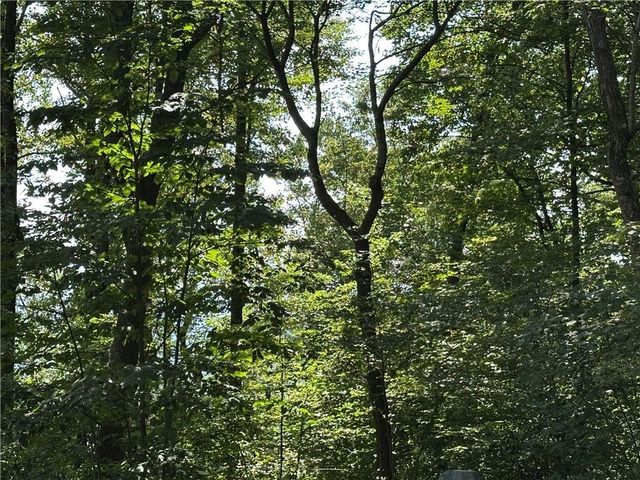 257 Andes Ridge, Jasper, GA 30143