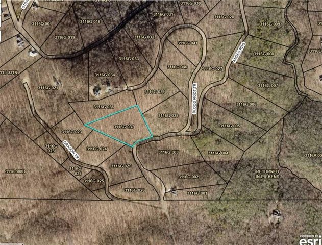 257 Andes Ridge, Jasper, GA 30143