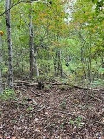 257 Andes Ridge, Jasper, GA 30143