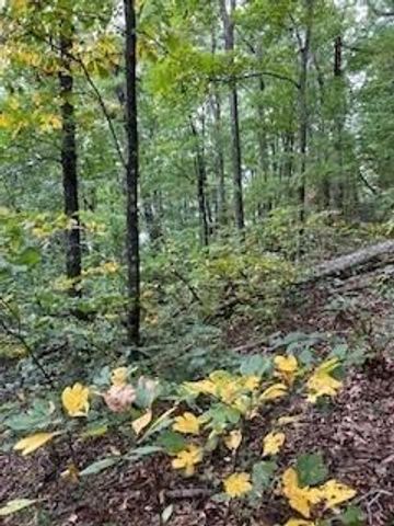 257 Andes Ridge, Jasper, GA 30143