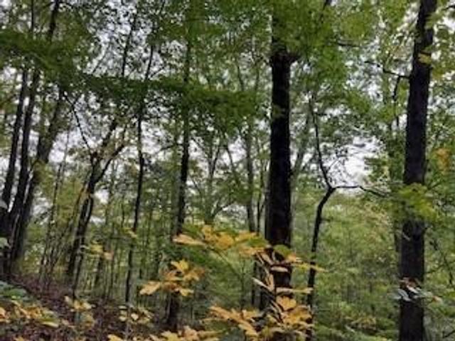 257 Andes Ridge, Jasper, GA 30143