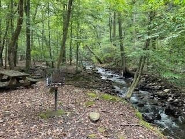 257 Andes Ridge, Jasper, GA 30143