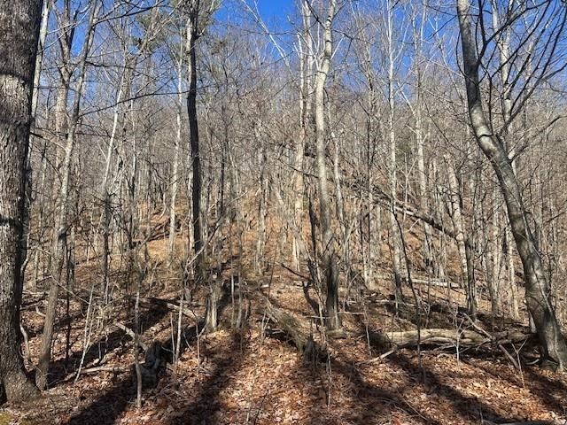 257 Andes Ridge, Jasper, GA 30143