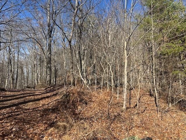 257 Andes Ridge, Jasper, GA 30143