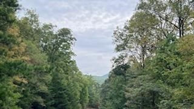 257 Andes Ridge, Jasper, GA 30143