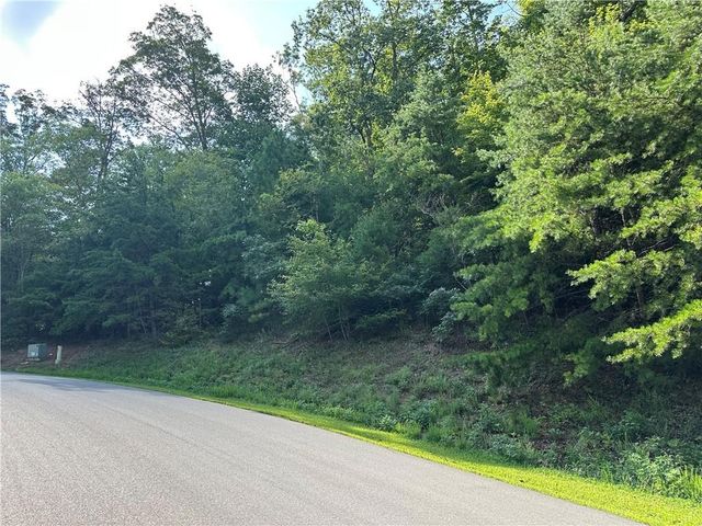 257 Andes Ridge, Jasper, GA 30143