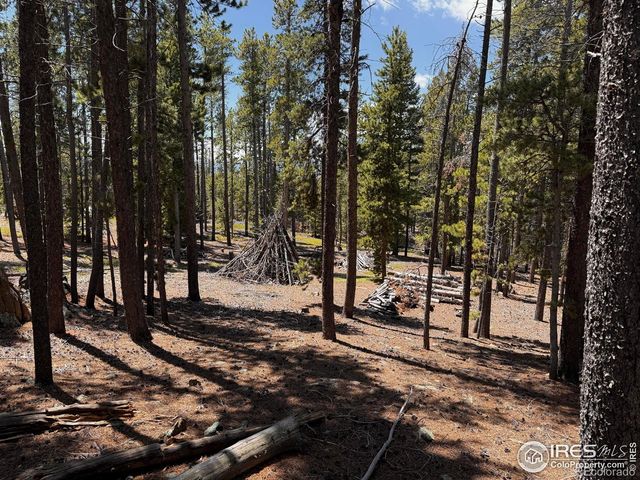 4911 Storm Mountain Drive, Drake, CO 80515