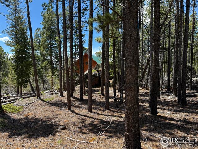 4911 Storm Mountain Drive, Drake, CO 80515