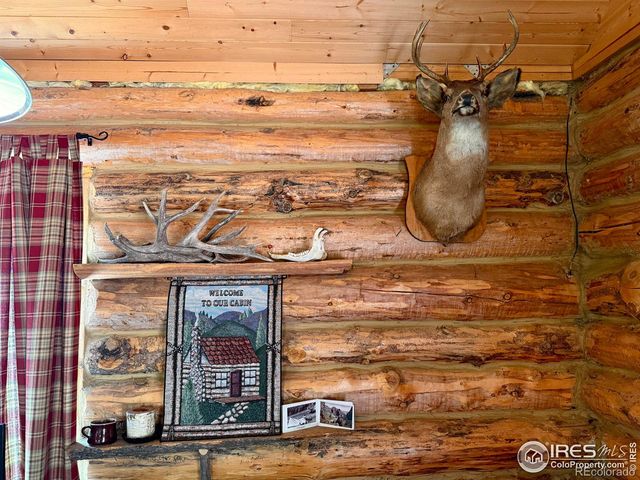 4911 Storm Mountain Drive, Drake, CO 80515