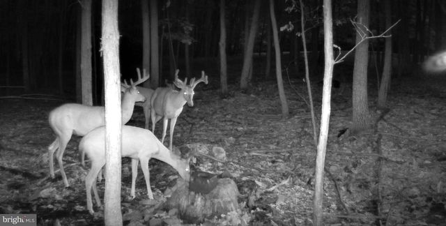 3035 STILLHOUSE HOLLOW ROAD, Shippensburg, PA 17257