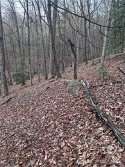 0 Wilkerson Court 16, Lake Lure, NC 28746