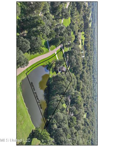 130 Bellemeade Drive, Clinton, MS 39056